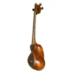 تار عطا مدل TA1 | نواچنگ | Navachang